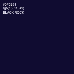 #0F0B31 - Black Rock Color Image